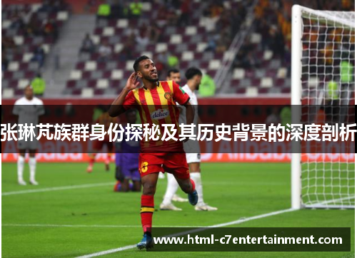 张琳芃族群身份探秘及其历史背景的深度剖析