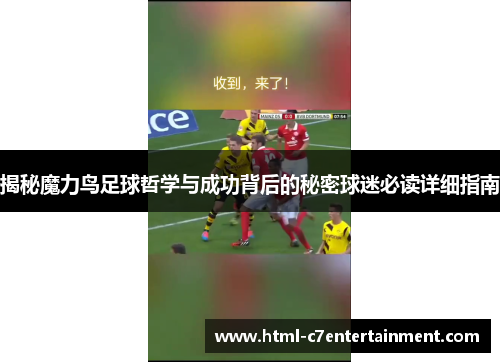 揭秘魔力鸟足球哲学与成功背后的秘密球迷必读详细指南 揭秘魔力鸟足球哲学与成功背后的秘密球迷必读详细指南